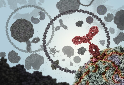 The Molecular World